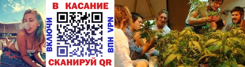 Как найти наркотики Дубовка Псилоцибиновые грибы Канабис МЕФ Гашиш АМФЕТАМИН