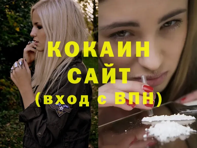 купить наркоту  Дубовка  Cocaine Fish Scale 