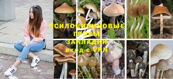 ПСИЛОЦИБИНОВЫЕ ГРИБЫ Майский